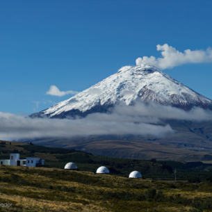 Geodesic dome kits for glamping for sale