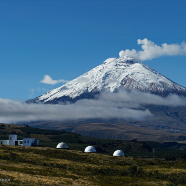 Geodesic dome kits for glamping for sale