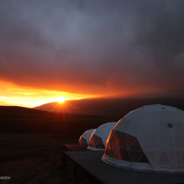 buy dome kits for glamping