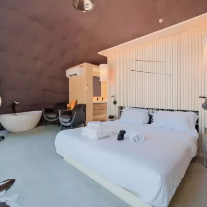 Dome modules for sale